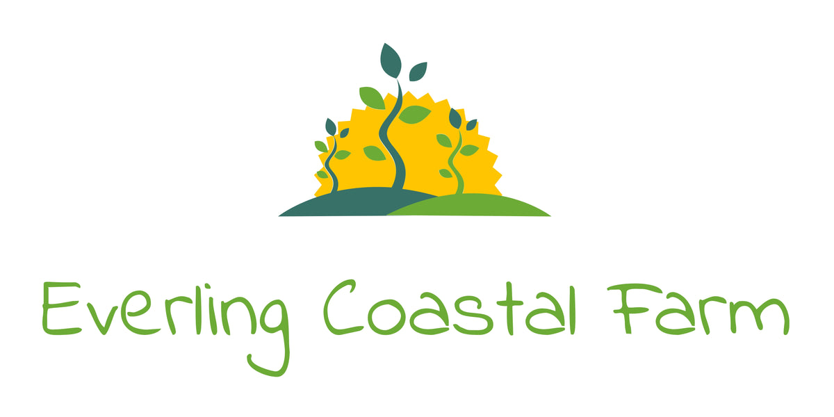 Strawberry Salad with Balsamic – Everling Coastal Farm LLC